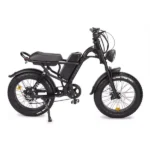 IDPOO J1 Z8 750W PRO  Fat Tyre Electric Bike, 20 AH battery, Long Range