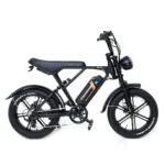 Colorway BK29 Fat Tyre Electric Bike