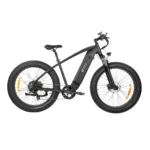 DYU King 750 Electric MTB 750w 48v