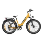 ENGWE E26 Fat Tyre Electric Bike for All Terrains