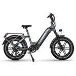 HIMIWAY BIG DOG Electric Cargo Bike