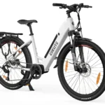 Eskute Polluno Pro Commuter Electric Bike