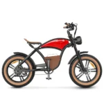 Hidoes B10 Retro Vintage 1000W Electric Fat Tyre Bike