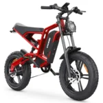 HIDOES B6 Fat Tyre Electric Bike for Adults