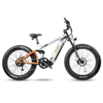 Cyrusher Ranger 1.0 All-Terrain Electric Bike