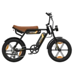 HITWAY BK29S E-Bike with Dual Battery