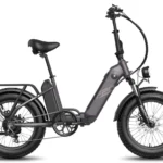 Fafrees F20 POLAR E-bike with dual batteries
