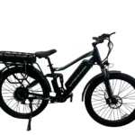 Allegro TDL6131 Long Range Ebike