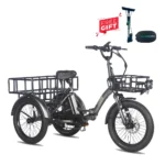 Fafrees F20 MATE Fat tire E-Trike