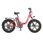 PVY LS20 20*4.0 Inch Fat Tire