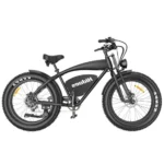 Hidoes® B3 1200W Electric Bike