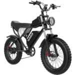 Ridstar Upgraded Q20 1000W Fat Tire Electric Bicycle