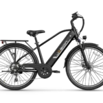 Jasion EB5 Roamer Ebike