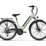 Jasion EB5 Roamer ST Ebike