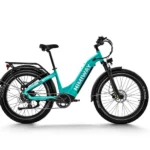 Himiway D5 (Zebra) STEP THRU | Premium All-terrain Electric Fat Bike
