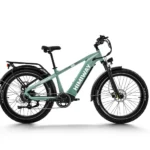 Himiway D5 (Zebra) | Premium All-terrain Electric Fat Bike
