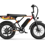 Jasion RetroVolt Ebike Motorcycle-style